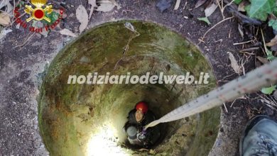 Cane cade in un pozzo a Montechiaro d’Asti: salvato dai Vigili del Fuoco