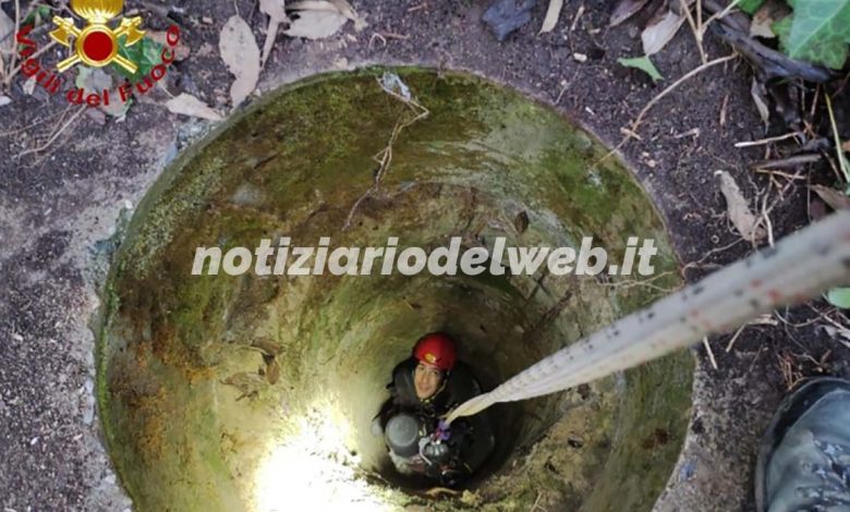 Cane cade in un pozzo a Montechiaro d’Asti: salvato dai Vigili del Fuoco