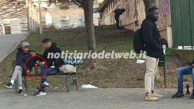 Torino: "l'Oasi dello spaccio" ai Giardini Madre Teresa di Calcutta