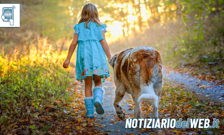 Torino bambina scappa di casa con il cane e cammina sui binari