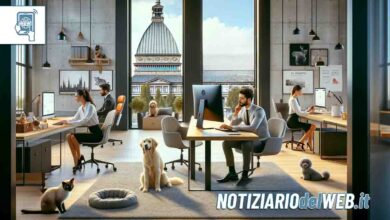 Cani e gatti in ufficio la Regione Piemonte investe 1 milione di euro per i lavoratori