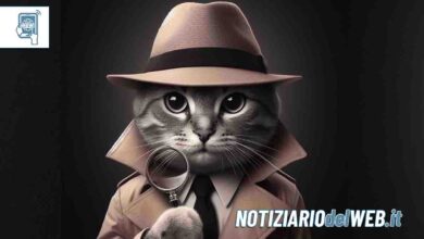 Gatti detective possono incastrare i criminali, ecco come