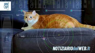 Il gatto inviato dalla NASA nello Spazio profondo a 31 milioni di Km (VIDEO)